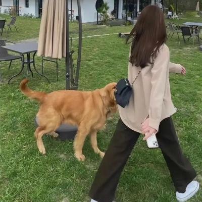 污秽的怪兽